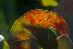 JM4_9336-8