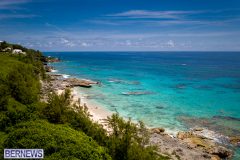 DJI_0599-1