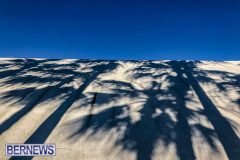 IMG_1925-Edit-1