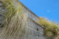JM4_2312-10