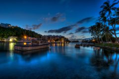 Flatt's Nightshow