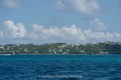 JM4_9904-1