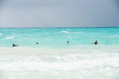 JM6_4931-31